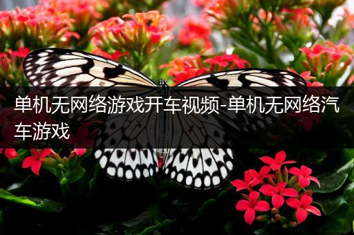 单机无网络游戏开车视频-单机无网络汽车游戏