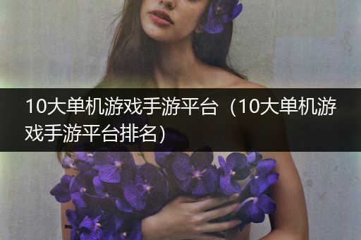 10大单机游戏手游平台（10大单机游戏手游平台排名）