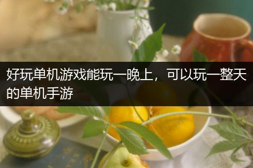 好玩单机游戏能玩一晚上，可以玩一整天的单机手游