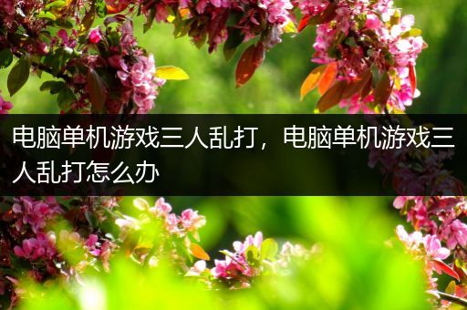 电脑单机游戏三人乱打，电脑单机游戏三人乱打怎么办