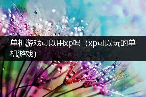 单机游戏可以用xp吗（xp可以玩的单机游戏）