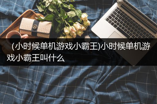 （小时候单机游戏小霸王)小时候单机游戏小霸王叫什么