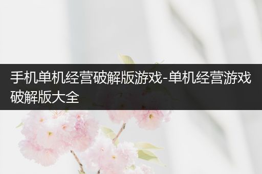 手机单机经营破解版游戏-单机经营游戏破解版大全