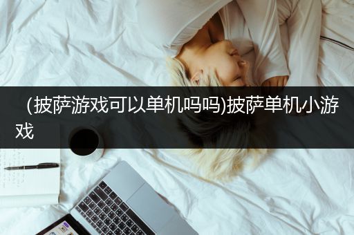 （披萨游戏可以单机吗吗)披萨单机小游戏