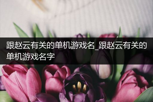 跟赵云有关的单机游戏名_跟赵云有关的单机游戏名字