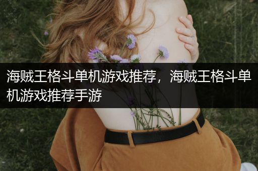 海贼王格斗单机游戏推荐，海贼王格斗单机游戏推荐手游