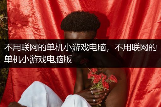 不用联网的单机小游戏电脑，不用联网的单机小游戏电脑版
