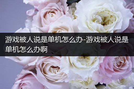 游戏被人说是单机怎么办-游戏被人说是单机怎么办啊