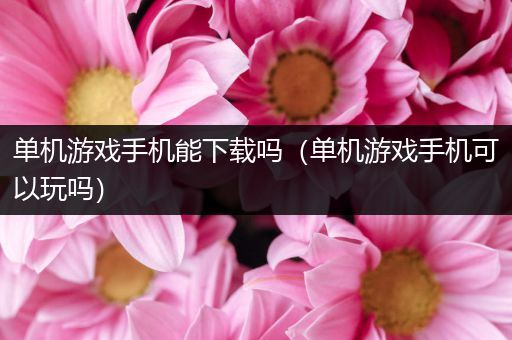 单机游戏手机能下载吗（单机游戏手机可以玩吗）