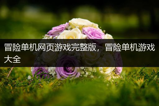 冒险单机网页游戏完整版，冒险单机游戏大全