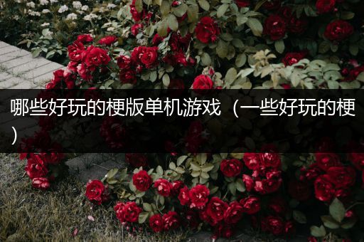 哪些好玩的梗版单机游戏（一些好玩的梗）