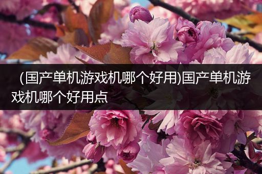 （国产单机游戏机哪个好用)国产单机游戏机哪个好用点
