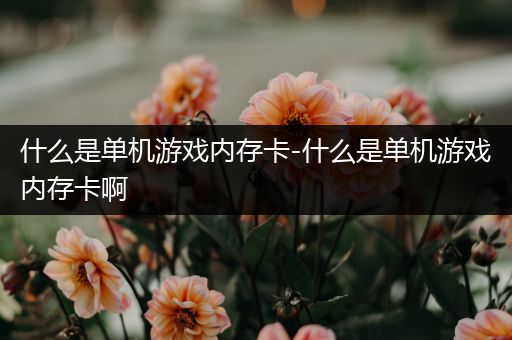 什么是单机游戏内存卡-什么是单机游戏内存卡啊