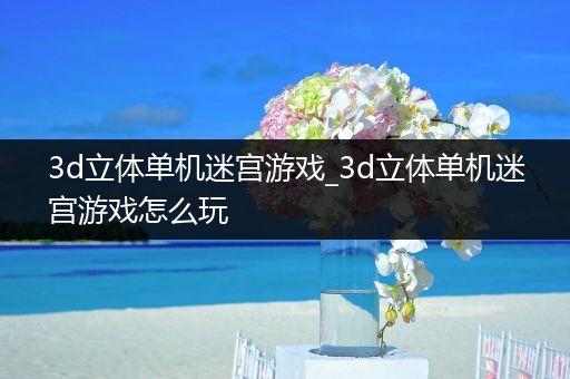 3d立体单机迷宫游戏_3d立体单机迷宫游戏怎么玩