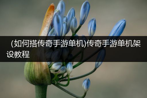 （如何搭传奇手游单机)传奇手游单机架设教程