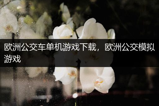 欧洲公交车单机游戏下载，欧洲公交模拟游戏