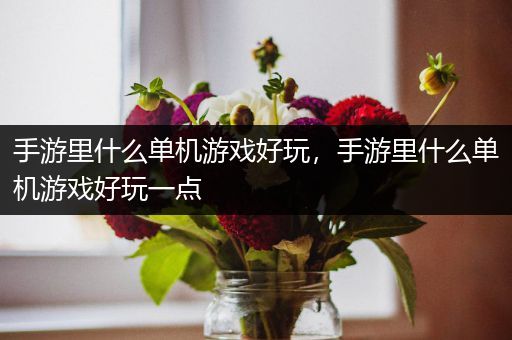 手游里什么单机游戏好玩，手游里什么单机游戏好玩一点