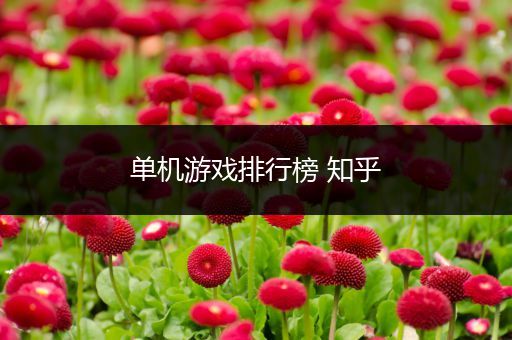 单机游戏排行榜 知乎