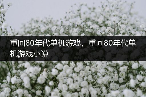 重回80年代单机游戏，重回80年代单机游戏小说
