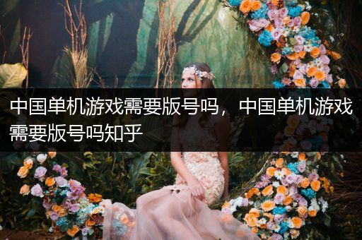 中国单机游戏需要版号吗，中国单机游戏需要版号吗知乎
