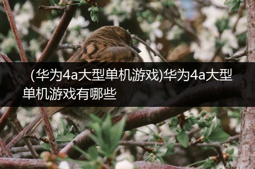 （华为4a大型单机游戏)华为4a大型单机游戏有哪些