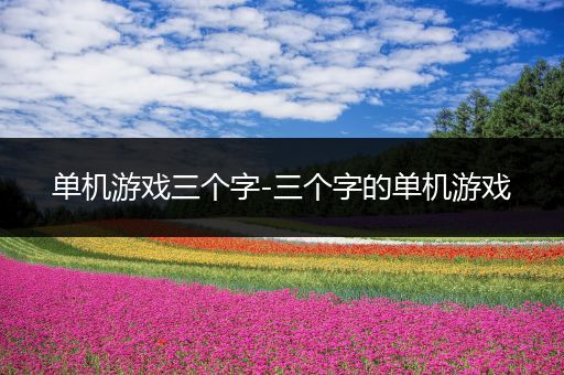 单机游戏三个字-三个字的单机游戏