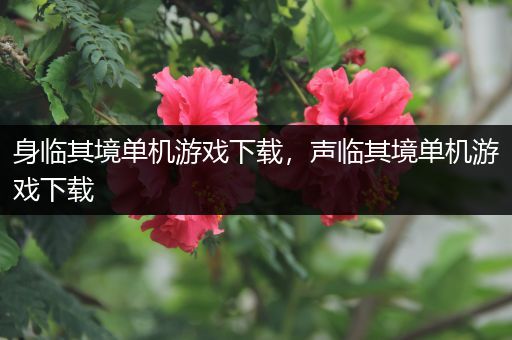 身临其境单机游戏下载，声临其境单机游戏下载