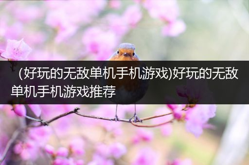 （好玩的无敌单机手机游戏)好玩的无敌单机手机游戏推荐