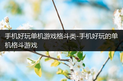 手机好玩单机游戏格斗类-手机好玩的单机格斗游戏