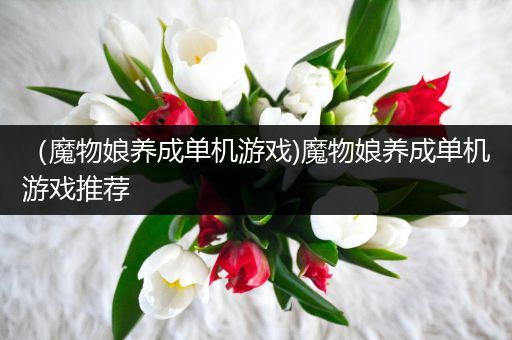 （魔物娘养成单机游戏)魔物娘养成单机游戏推荐