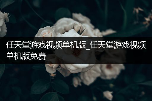 任天堂游戏视频单机版_任天堂游戏视频单机版免费
