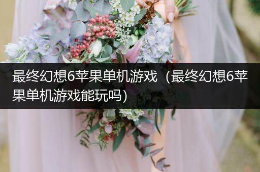 最终幻想6苹果单机游戏（最终幻想6苹果单机游戏能玩吗）
