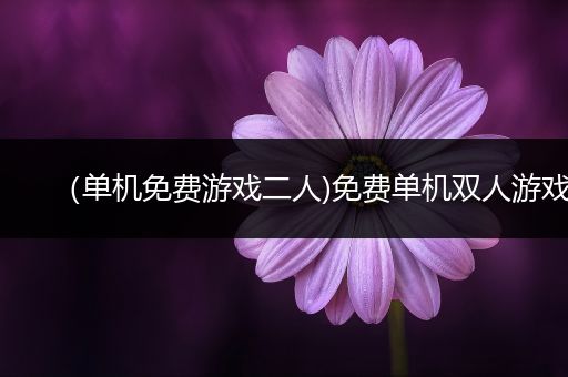 （单机免费游戏二人)免费单机双人游戏
