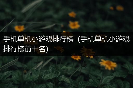 手机单机小游戏排行榜（手机单机小游戏排行榜前十名）