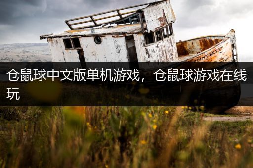 仓鼠球中文版单机游戏，仓鼠球游戏在线玩