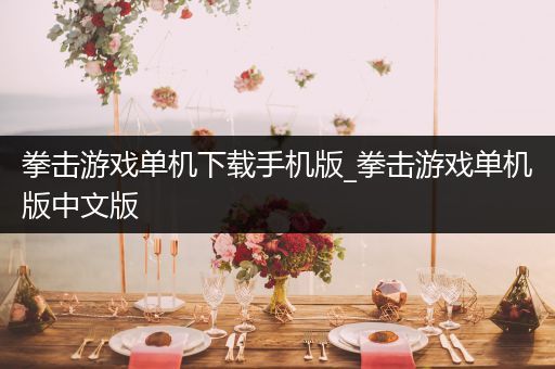 拳击游戏单机下载手机版_拳击游戏单机版中文版
