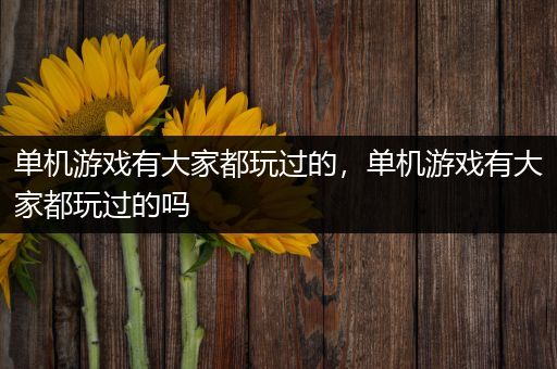 单机游戏有大家都玩过的，单机游戏有大家都玩过的吗