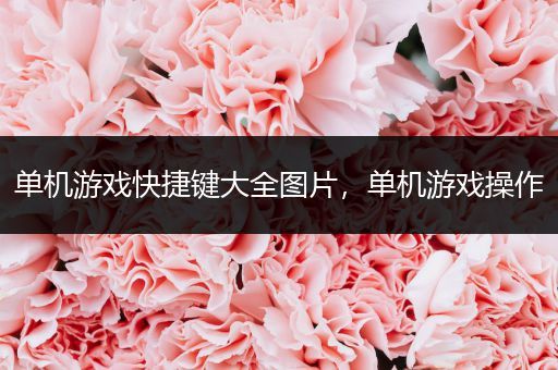 单机游戏快捷键大全图片，单机游戏操作