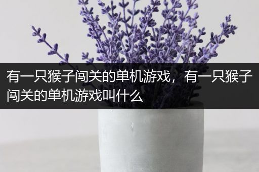 有一只猴子闯关的单机游戏，有一只猴子闯关的单机游戏叫什么