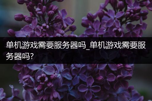 单机游戏需要服务器吗_单机游戏需要服务器吗?
