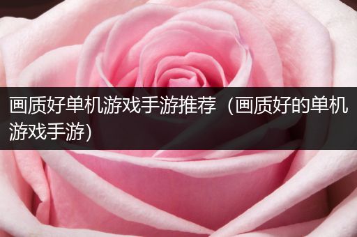 画质好单机游戏手游推荐（画质好的单机游戏手游）