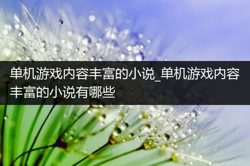 单机游戏内容丰富的小说_单机游戏内容丰富的小说有哪些