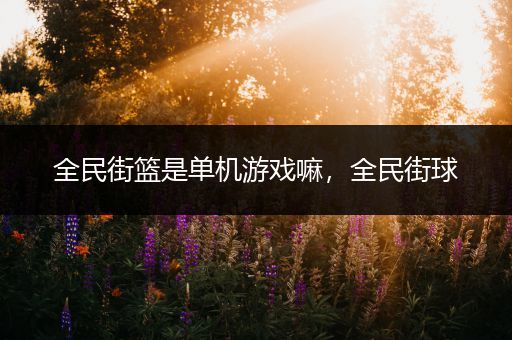 全民街篮是单机游戏嘛，全民街球