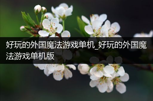 好玩的外国魔法游戏单机_好玩的外国魔法游戏单机版