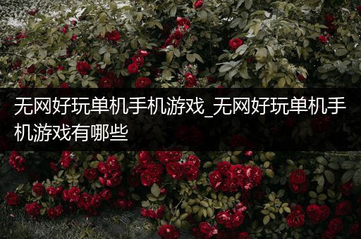 无网好玩单机手机游戏_无网好玩单机手机游戏有哪些
