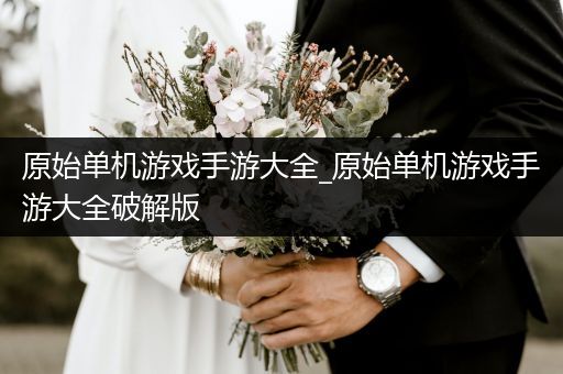 原始单机游戏手游大全_原始单机游戏手游大全破解版