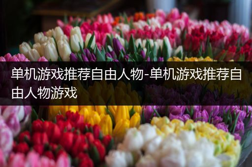 单机游戏推荐自由人物-单机游戏推荐自由人物游戏