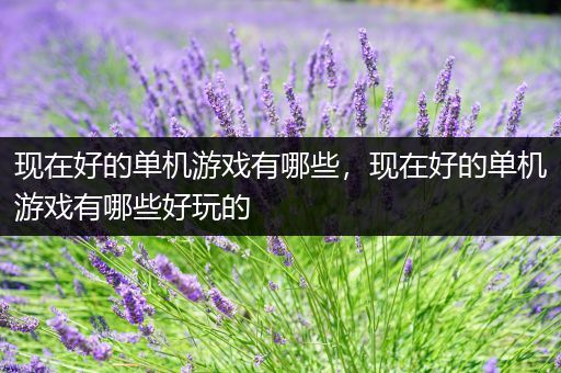 现在好的单机游戏有哪些，现在好的单机游戏有哪些好玩的