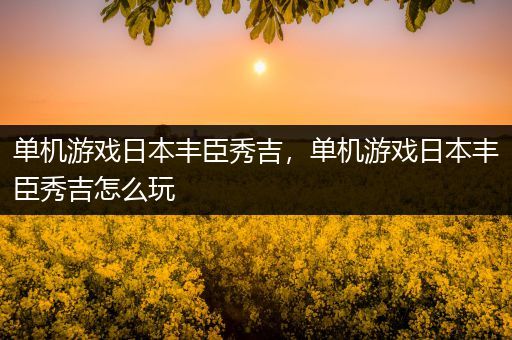 单机游戏日本丰臣秀吉，单机游戏日本丰臣秀吉怎么玩