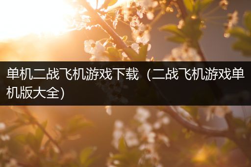 单机二战飞机游戏下载（二战飞机游戏单机版大全）